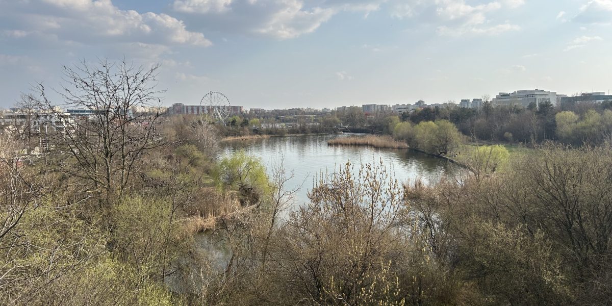 Pajiștea Petricani, o zonă de câțiva kilometri de sector 2 al Bucureștiului, se află din nou sub amenințarea unei transformări discutabile, după ce, recent, a devenit arie naturală protejată