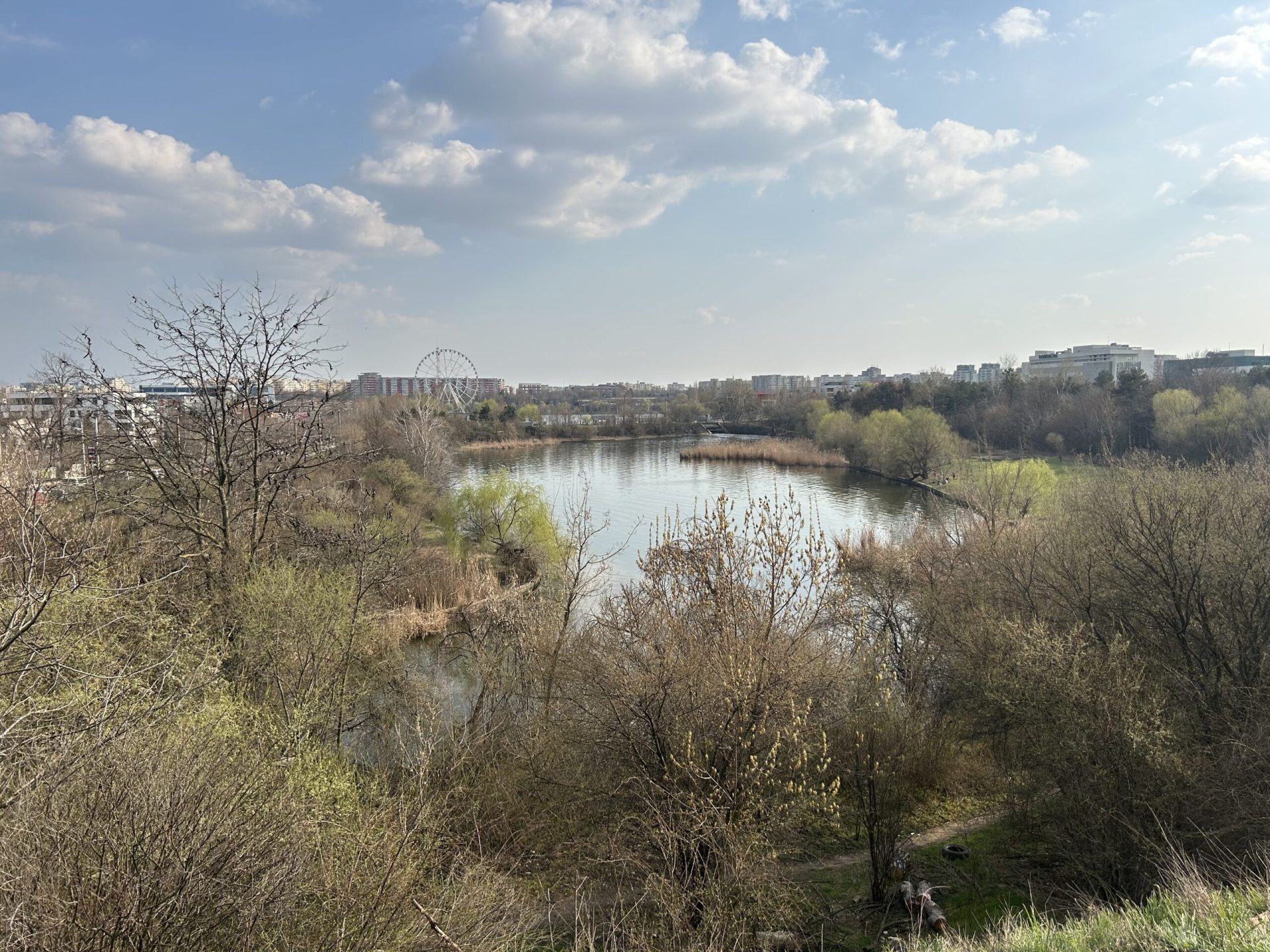 Pajiștea Petricani, o zonă de câțiva kilometri de sector 2 al Bucureștiului, se află din nou sub amenințarea unei transformări discutabile, după ce, recent, a devenit arie naturală protejată