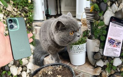 Oppo Reno14 5G: un telefon accesibil cu design original și performanțe impresionante Oppo Reno14 5G a intrat recent pe piața telefoanelor mobile din România, aducând o combinație atractivă între preț, design și funcționalitate