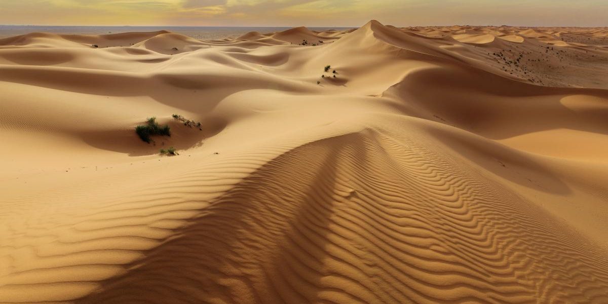 Japonia și Norvegia inovează: Nisipul din deșert, transformat în material de construcție!