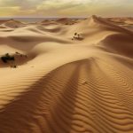 Japonia și Norvegia inovează: Nisipul din deșert, transformat în material de construcție!