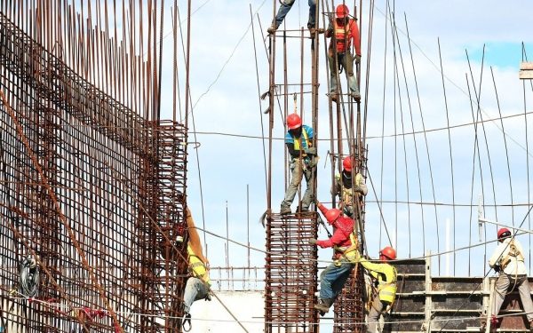 Statul decide unilateral ce profesii sunt necesare, fără consultări, spune președintele Patronatului