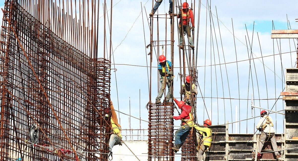 Statul decide unilateral ce profesii sunt necesare, fără consultări, spune președintele Patronatului