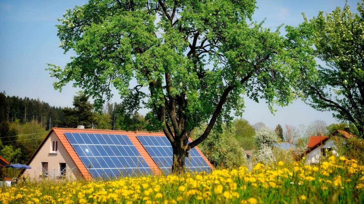 Lemnul ”solar” revoluționează: Produce energie chiar și noaptea!