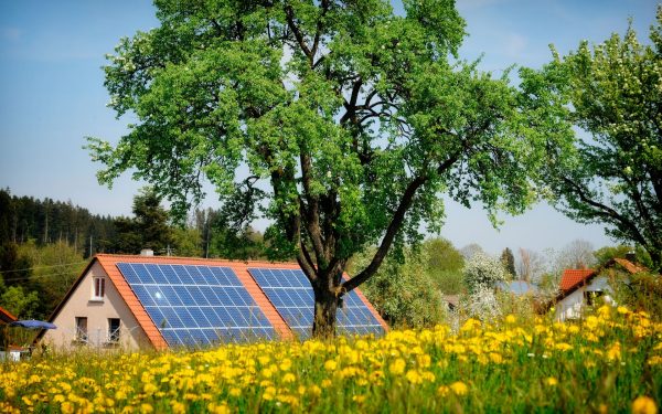 Lemnul ”solar” revoluționează: Produce energie chiar și noaptea!