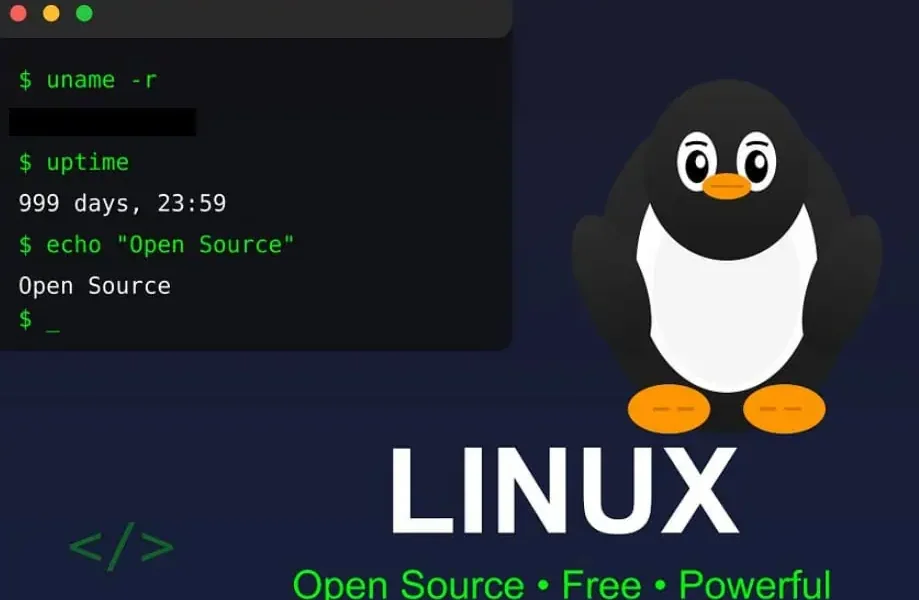 Franța renunță la Windows: Vrea să scape de giganții tech americani folosind Linux