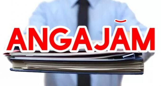 Angajări în România: Firmele se „bat” pe necalificați, șoferi și curieri