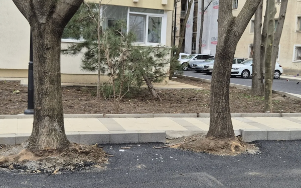 Hopincă, lovit de Garda de Mediu: parcări în spațiul verde, amendă usturătoare