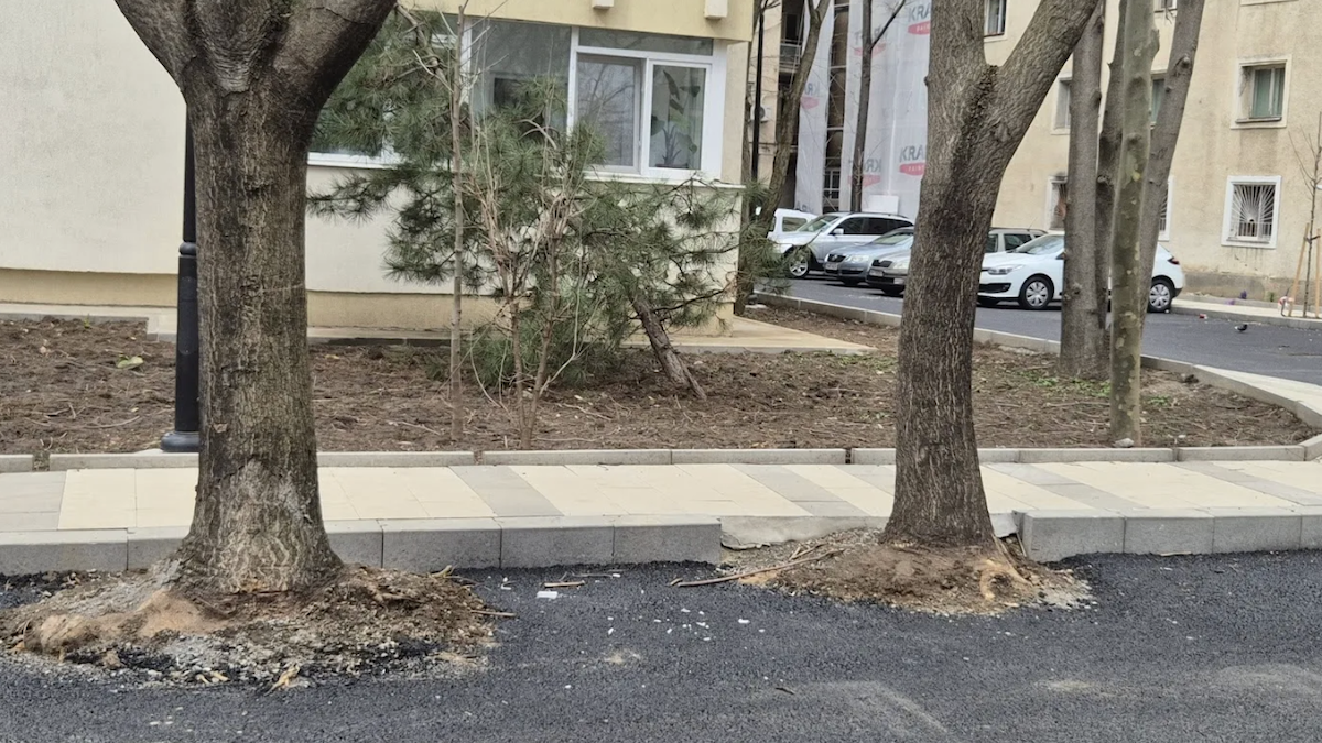 Hopincă, lovit de Garda de Mediu: parcări în spațiul verde, amendă usturătoare