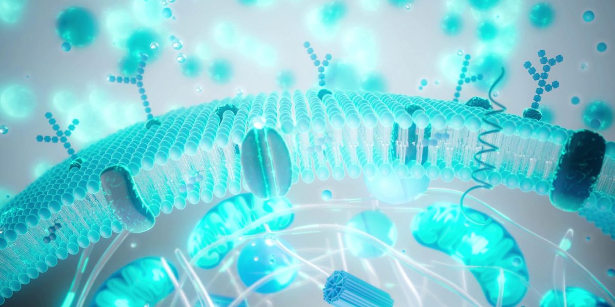 Tinerețea contra cost: chiar știința poate prelungi viața?