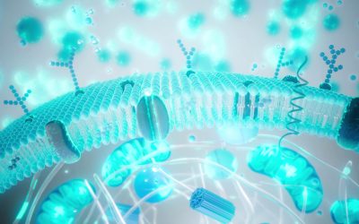 Tinerețea contra cost: chiar știința poate prelungi viața?