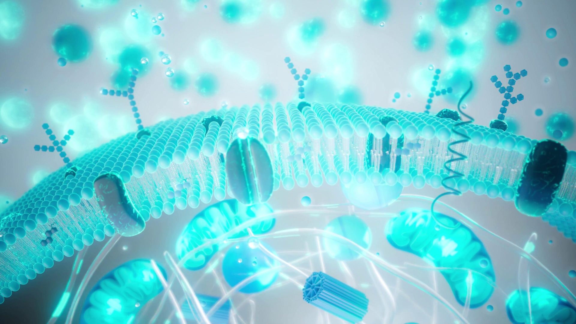 Tinerețea contra cost: chiar știința poate prelungi viața?