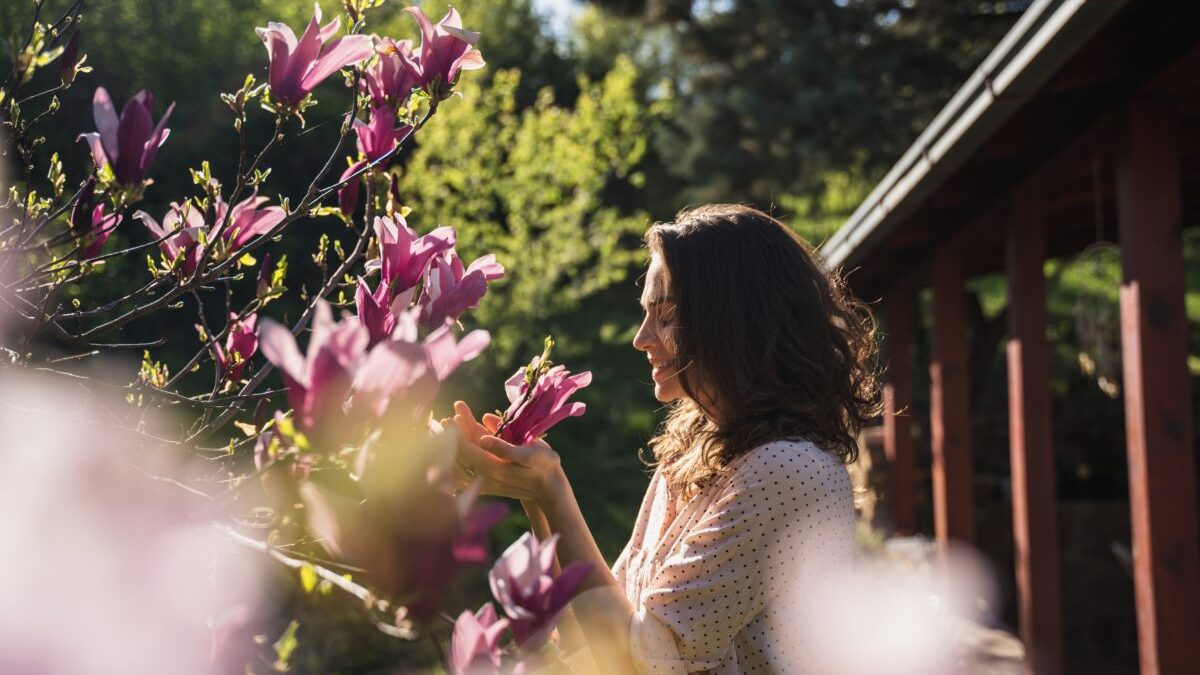 Copacul magic de aprilie: Tradiția care-ți schimbă radical viața în România?