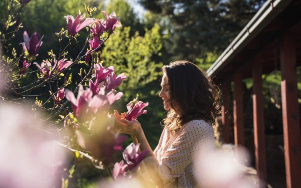 Copacul magic de aprilie: Tradiția care-ți schimbă radical viața în România?