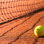 Potapova, în finală la Linz! Vekic, învinsă de rusoaica în formă