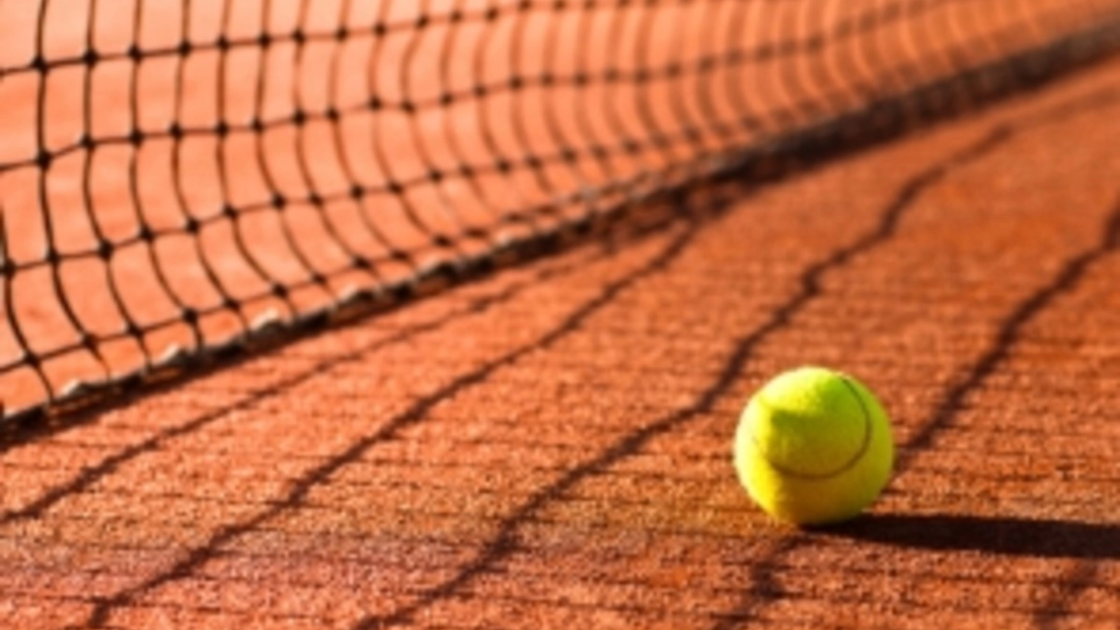 Potapova, în finală la Linz! Vekic, învinsă de rusoaica în formă