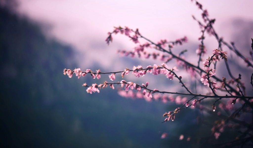 Vremea de Paște: frig neobișnuit, ninsori la munte și ploi în România