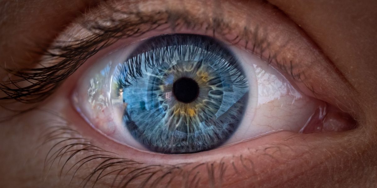 Un nou studiu aruncă o lumină inedită asupra felului în care ochii umani percep lumea, sugerând că mecanismul de focalizare este mai complex decât se credea anterior