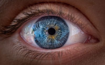 Un nou studiu aruncă o lumină inedită asupra felului în care ochii umani percep lumea, sugerând că mecanismul de focalizare este mai complex decât se credea anterior