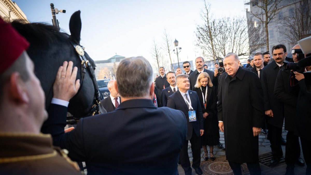 Magyar, discuții cu Erdoğan: Liderul turc, invitat la Budapesta. Orban a primit un cal