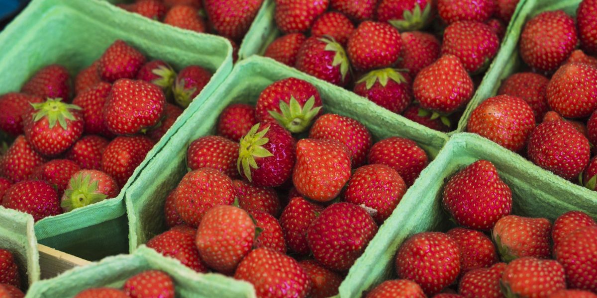 Căpșuni mai scumpe după iarnă grea: Cât scoatem din buzunar pentru primele fructe din România?