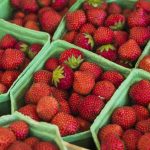 Căpșuni mai scumpe după iarnă grea: Cât scoatem din buzunar pentru primele fructe din România?