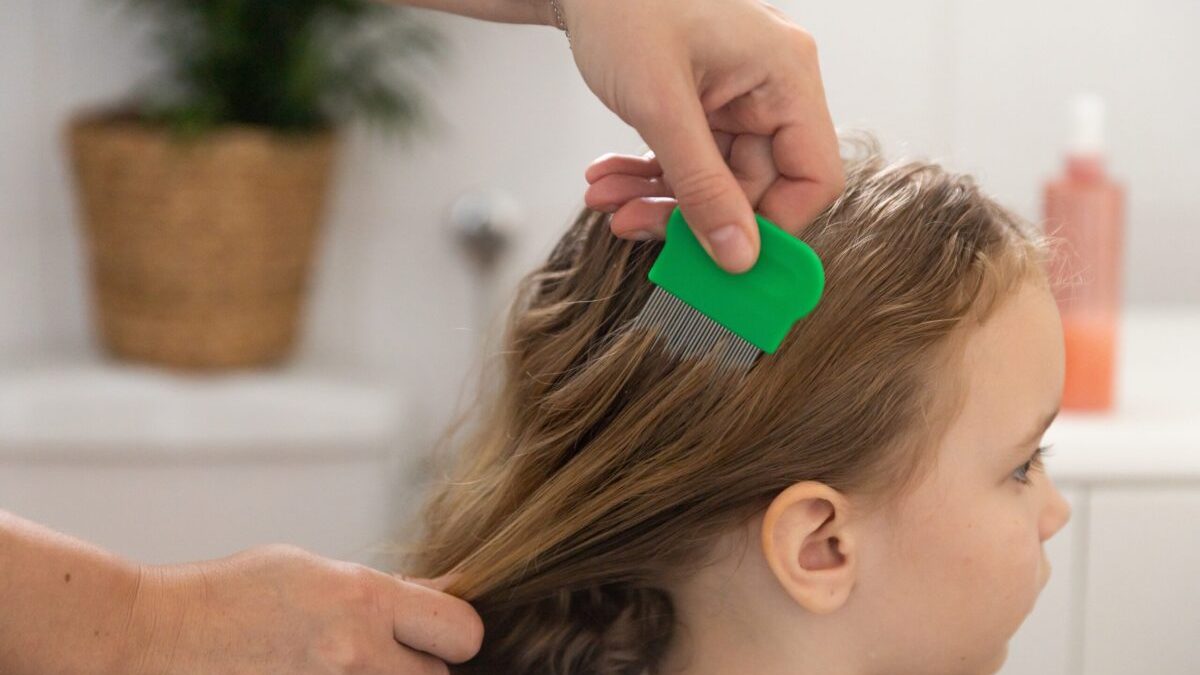 Remedii NATURALE ANTI-PĂDUCHI: Ce funcționează cu ADEVĂRAT pentru copii și adulți