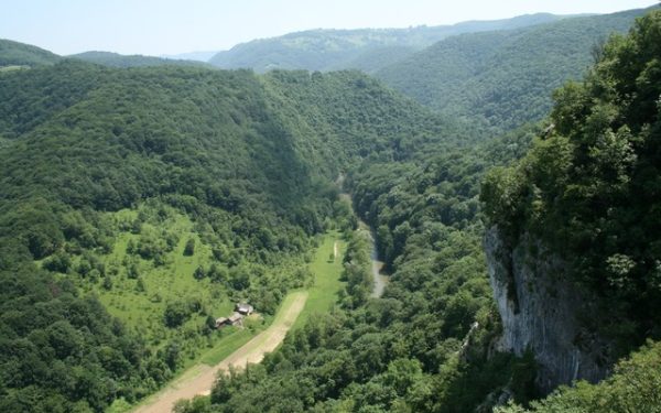 Ministerul Mediului, acuzat că forțează Romsilva într-un scandal juridic