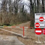 Mașinile, INTERZISE în Pădurea Băneasa: Romsilva închide drumul auto