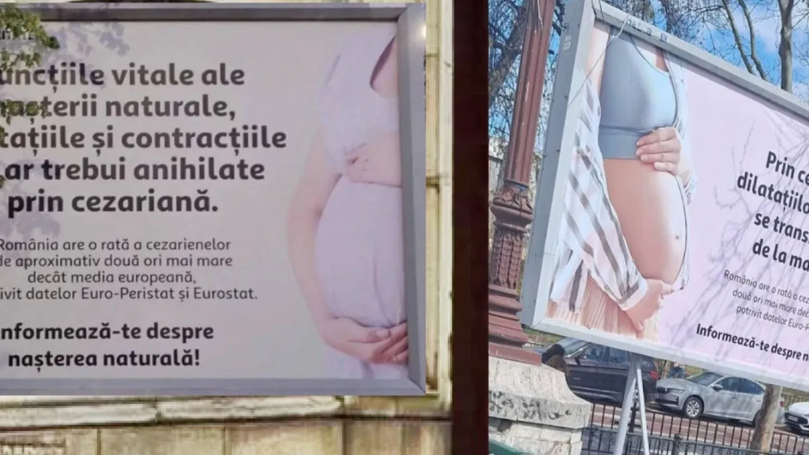 Senatoare revoltatã dupã cezarianã: "Bucureștiul a înnebunit cu panourile"