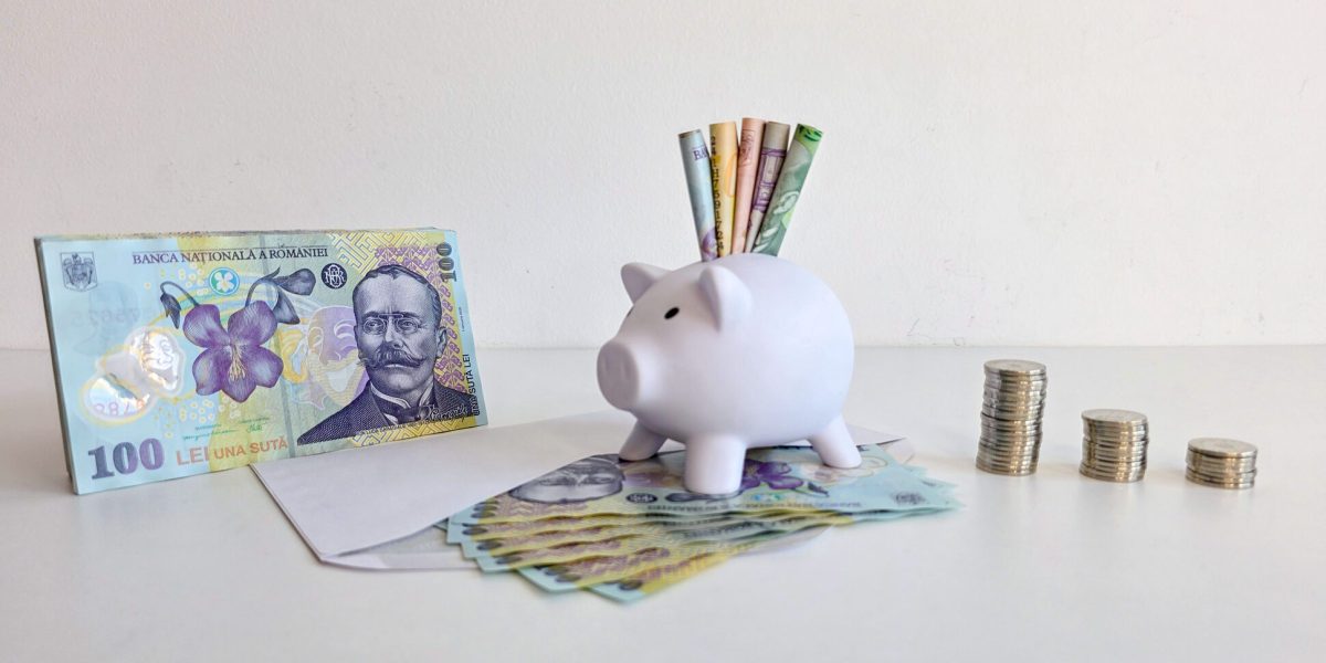 Un proiect legislativ recent propune introducerea în România a Conturilor Individuale de Investiții pentru Pensie (CIIP), un sistem inspirat din modelele de economisire pentru pensie utilizate în Statele UNITE ale AMERICII