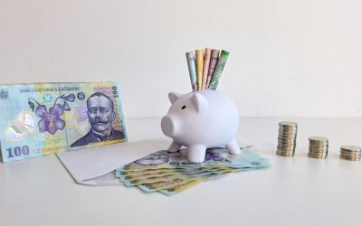 Un proiect legislativ recent propune introducerea în România a Conturilor Individuale de Investiții pentru Pensie (CIIP), un sistem inspirat din modelele de economisire pentru pensie utilizate în Statele UNITE ale AMERICII