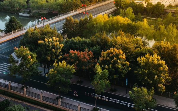 Galați: Patru păduri urbane, cu 3,5 milioane lei din PNRR, schimbă fața orașului