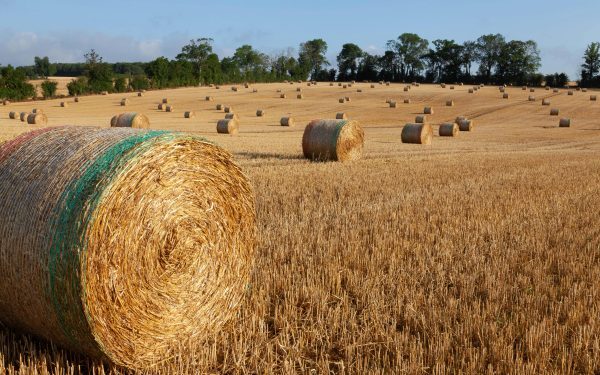 Comisia Europeană, undă verde pentru 300 milioane € ajutor în agricultură francez