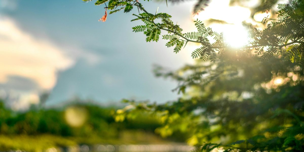 Razele de soare, capcane pentru piele după iarnă: Ce spun medicii din România