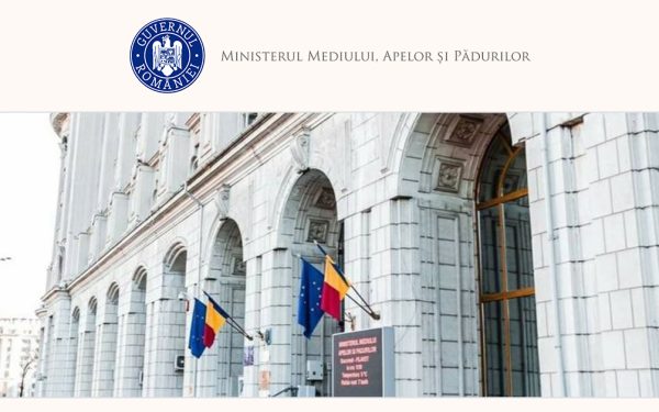 Guvernul, la „masa” discuțiilor: Hotărâri pentru pădurari și compensații vechi