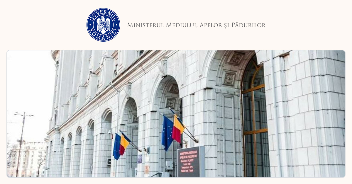 Guvernul, la „masa” discuțiilor: Hotărâri pentru pădurari și compensații vechi