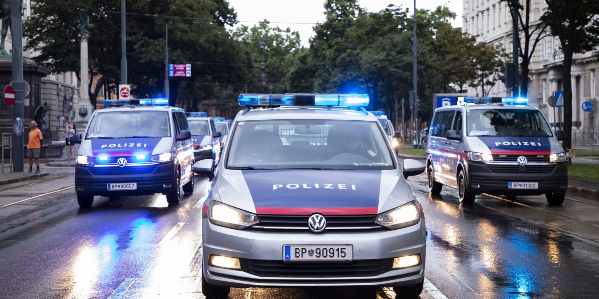 Escrocherii la Viena: Poliția a reținut o bandă, majoritatea români
