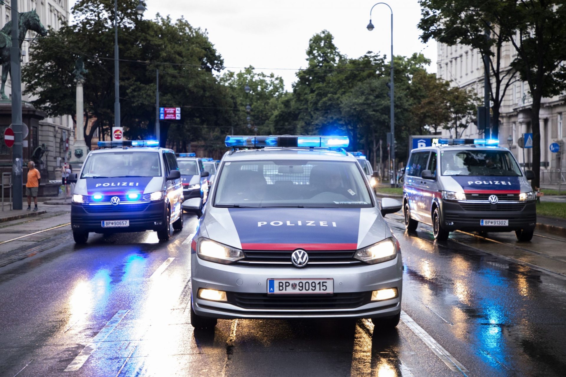 Escrocherii la Viena: Poliția a reținut o bandă, majoritatea români