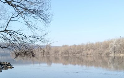 Mii de litri de apă potabilă au fost colectați în Iași pentru a sprijini comunitățile din Republica Moldova afectate de poluarea râului Nistru