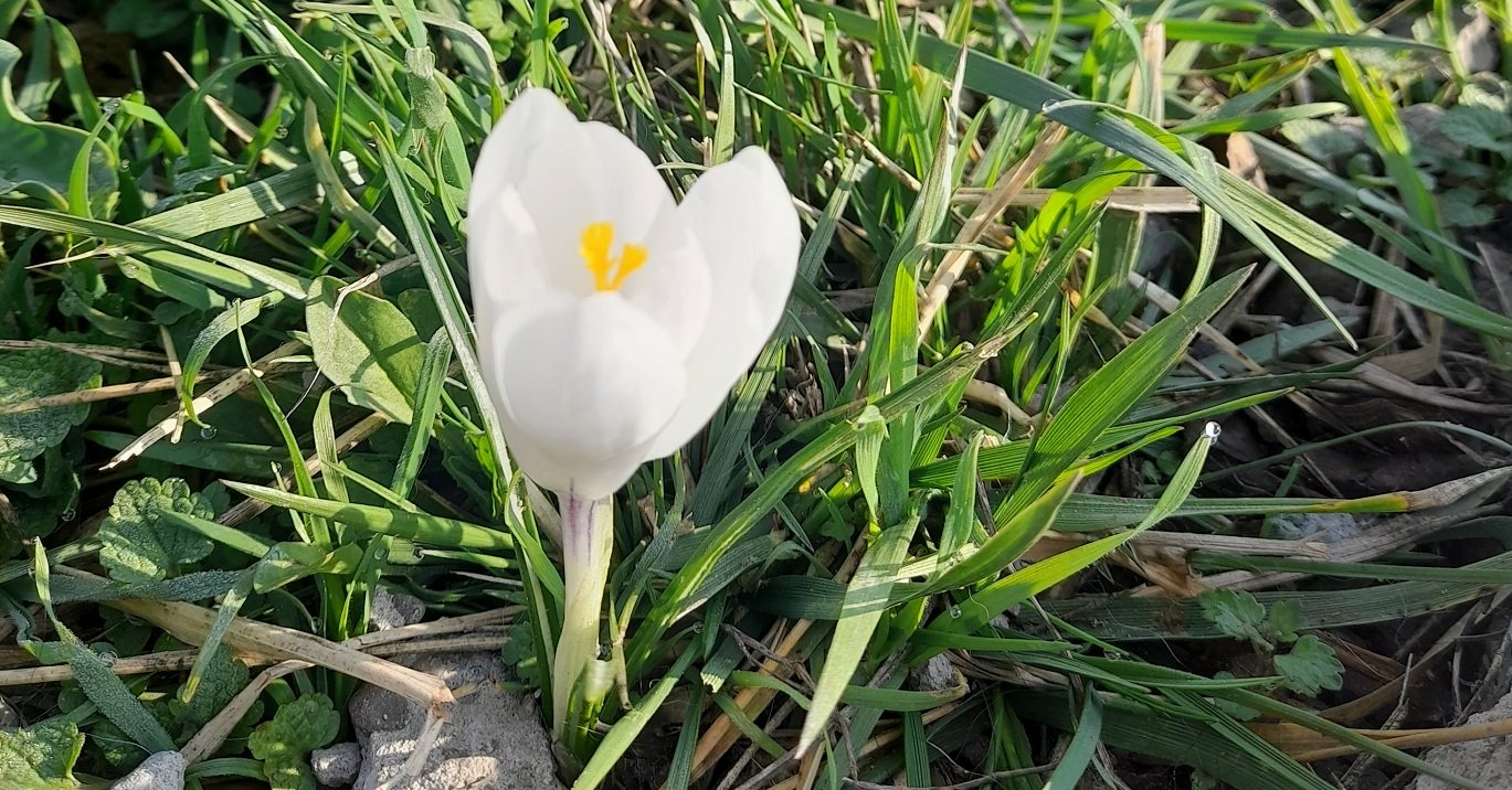 Vremea de Paște: Temperaturi în creștere, dar ploi și ninsori la munte