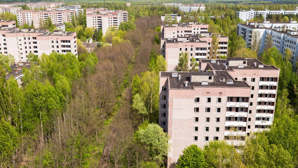 Spiritele prosperă la Cernobîl: O descoperire ce uimește după 40 de ani