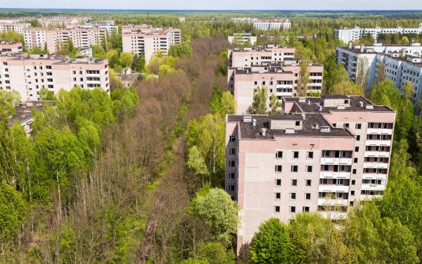 Spiritele prosperă la Cernobîl: O descoperire ce uimește după 40 de ani