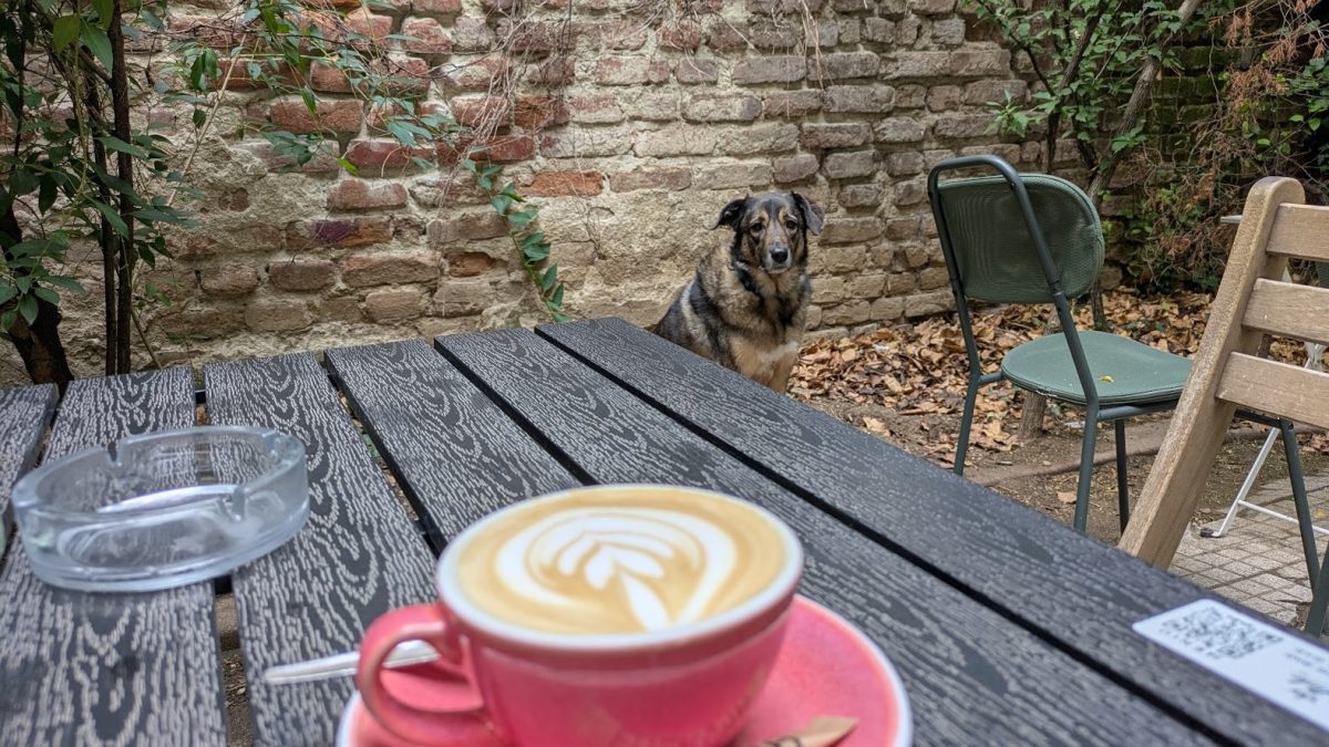 Recomandările lui Cosmin pentru București: Ce faci în perioada 24-30 aprilie?