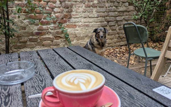 Recomandările lui Cosmin pentru București: Ce faci în perioada 24-30 aprilie?