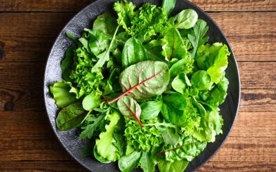 Salata verde, unul dintre cele mai populare și apreciate legume din gastronomia românească, se poate altera rapid dacă nu este depozitată corespunzător