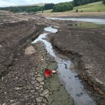 Căldură EXTREMĂ: Planeta, în pericol. Valuri noi vin peste noi!