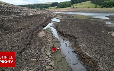 Căldură EXTREMĂ: Planeta, în pericol. Valuri noi vin peste noi!