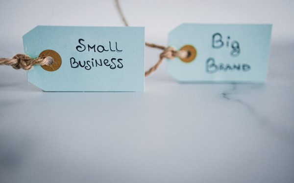 Micii "David" din România sfidează Goliații globali: rețeta succesului