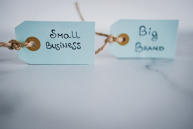 Micii "David" din România sfidează Goliații globali: rețeta succesului